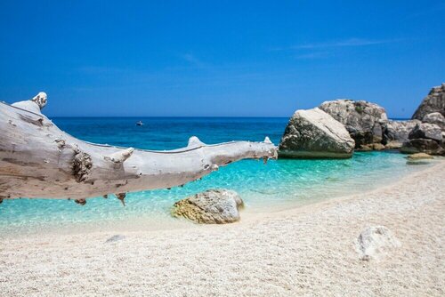 Апартаменты Cala Viola Trilo 1.5km From The Sea