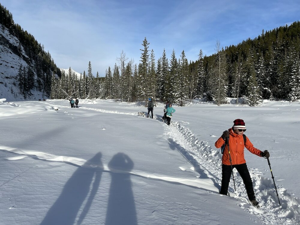 Фото Skyline 48- Mv Townhouse-AC-Pool-Hot Tub
