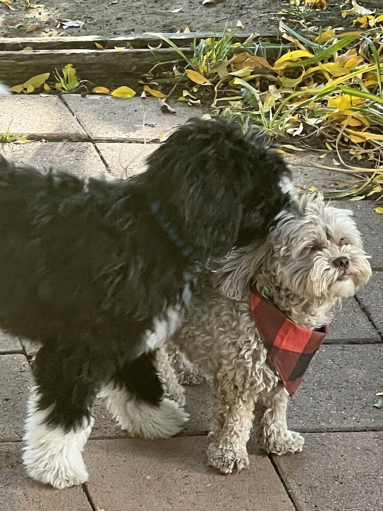 Фото The Hearts Desire B & B