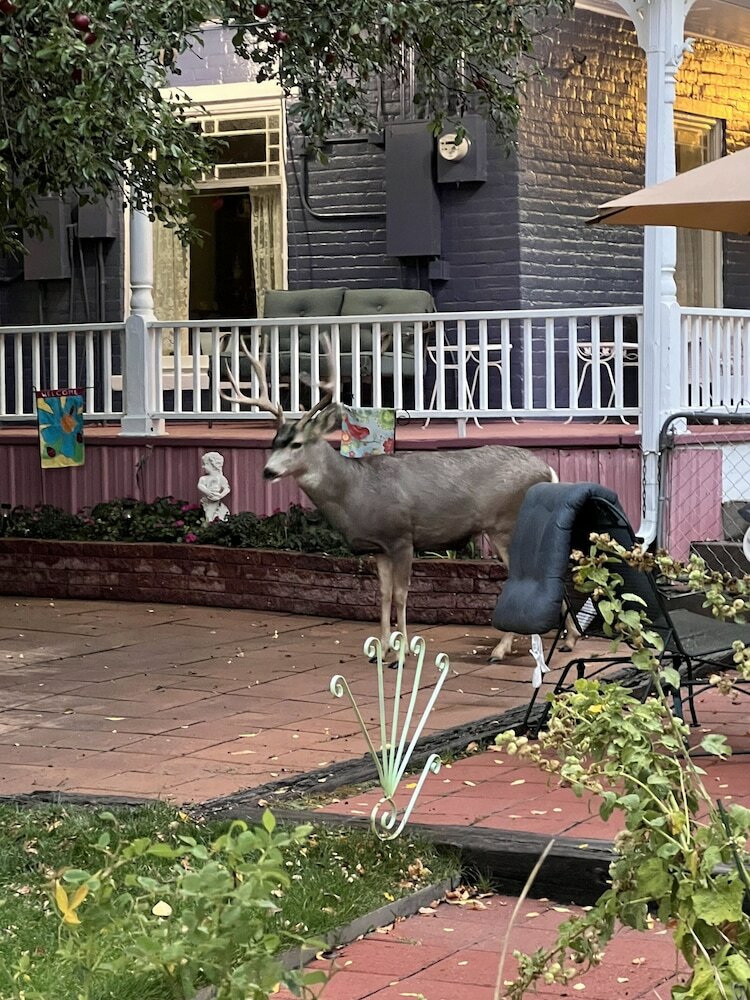 Фото The Hearts Desire B & B