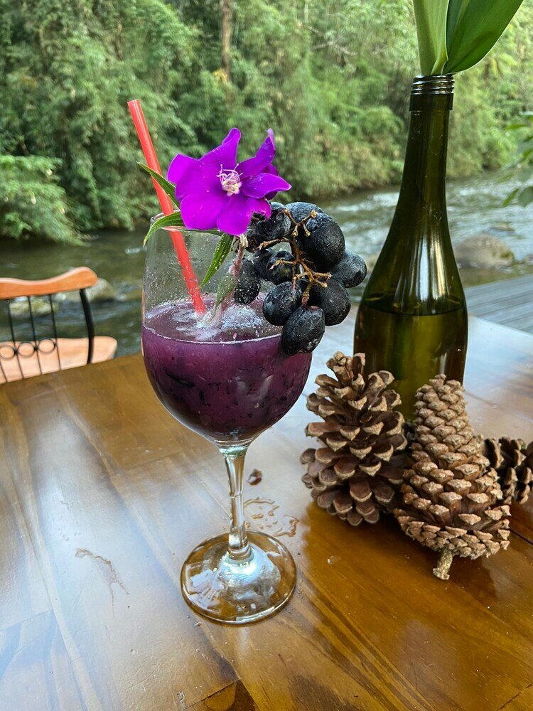 Фото Pousada Bosque do Visconde