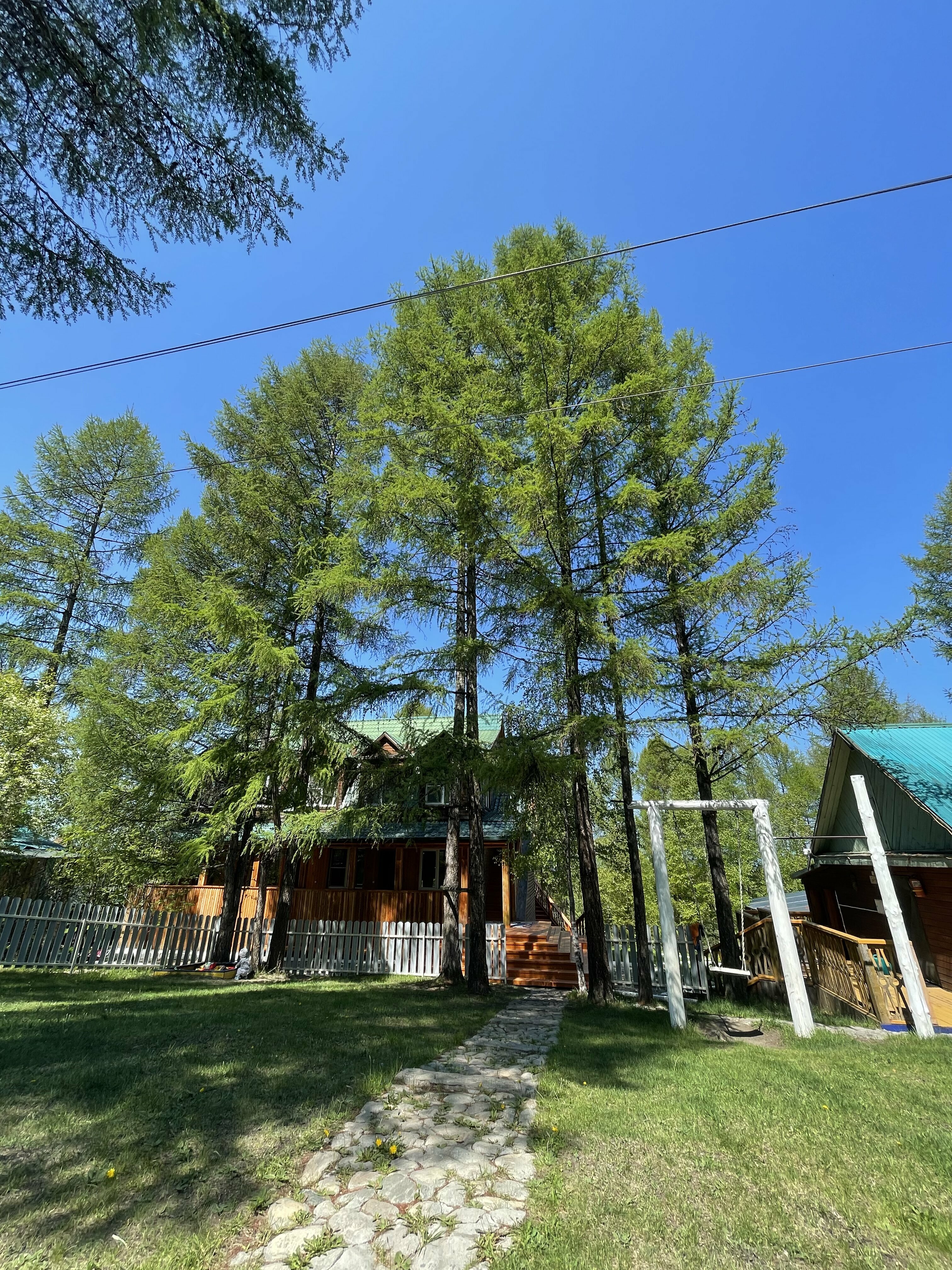 Фото Звездный