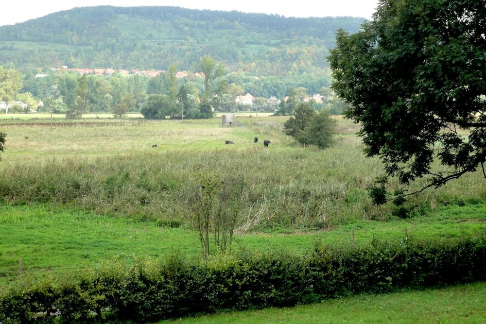 Фото Biohotel Stiftsgut Wilhelmsglücksbrunn