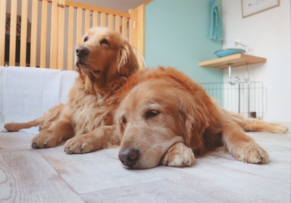 Фото Riverside Hostel B&b – Hostel