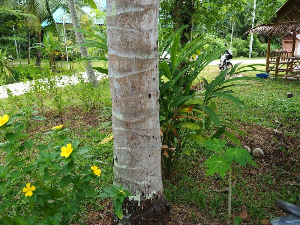 Фото Pru Valley Thaley Tai Resort