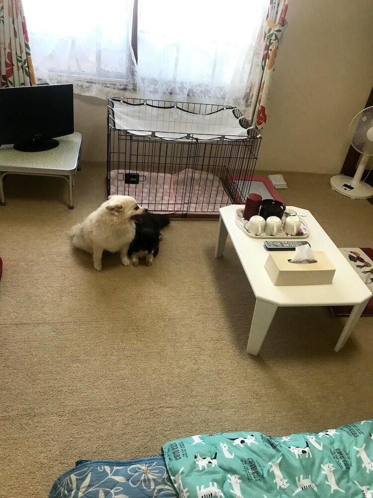 Фото Stay Akeboshi Kan