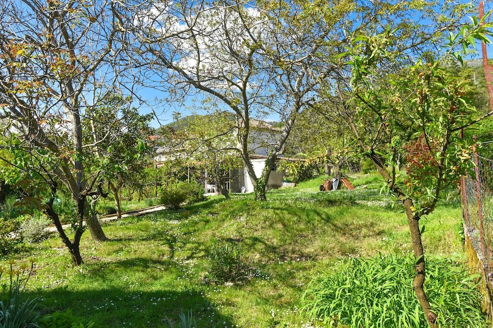 Фото Apartments Branka