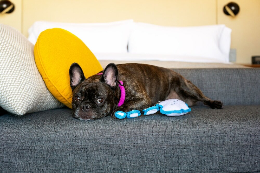 Фото Canopy by Hilton Grand Rapids Downtown