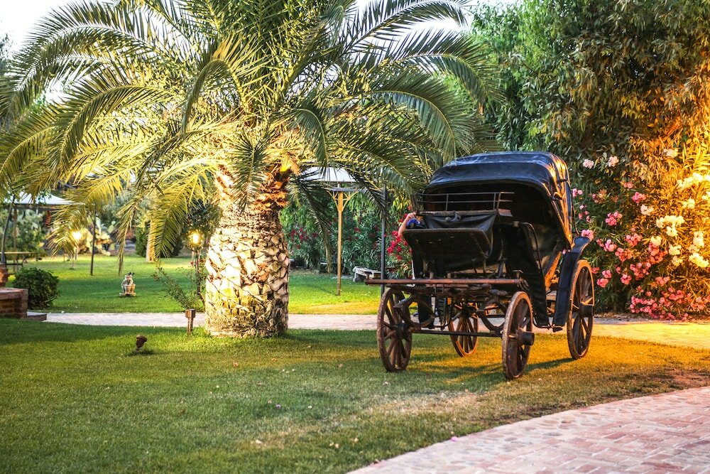 Фото Masseria Mazzei Le Colline del Gelso