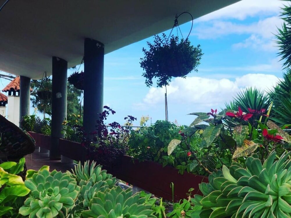 Фото Los Viejitos EN Firgas