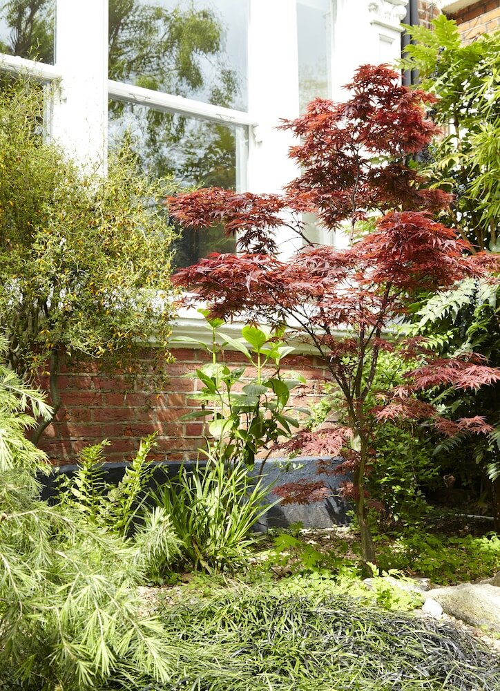 Фото Mountview Guesthouse