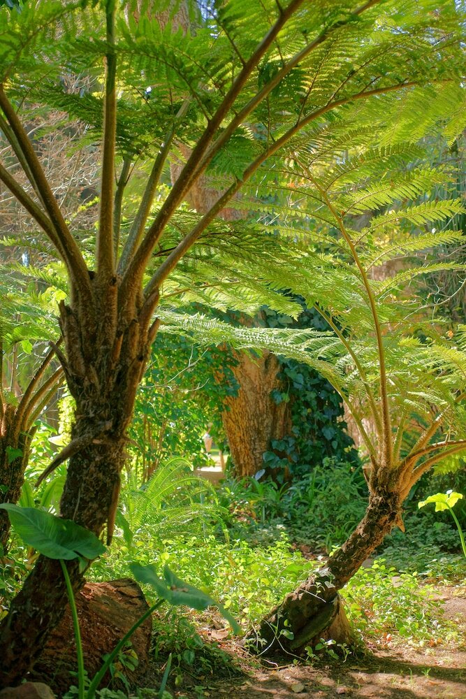 Фото Foxwood House