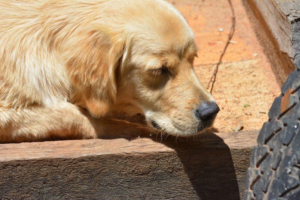Фото Emaroo Cottages Broken Hill