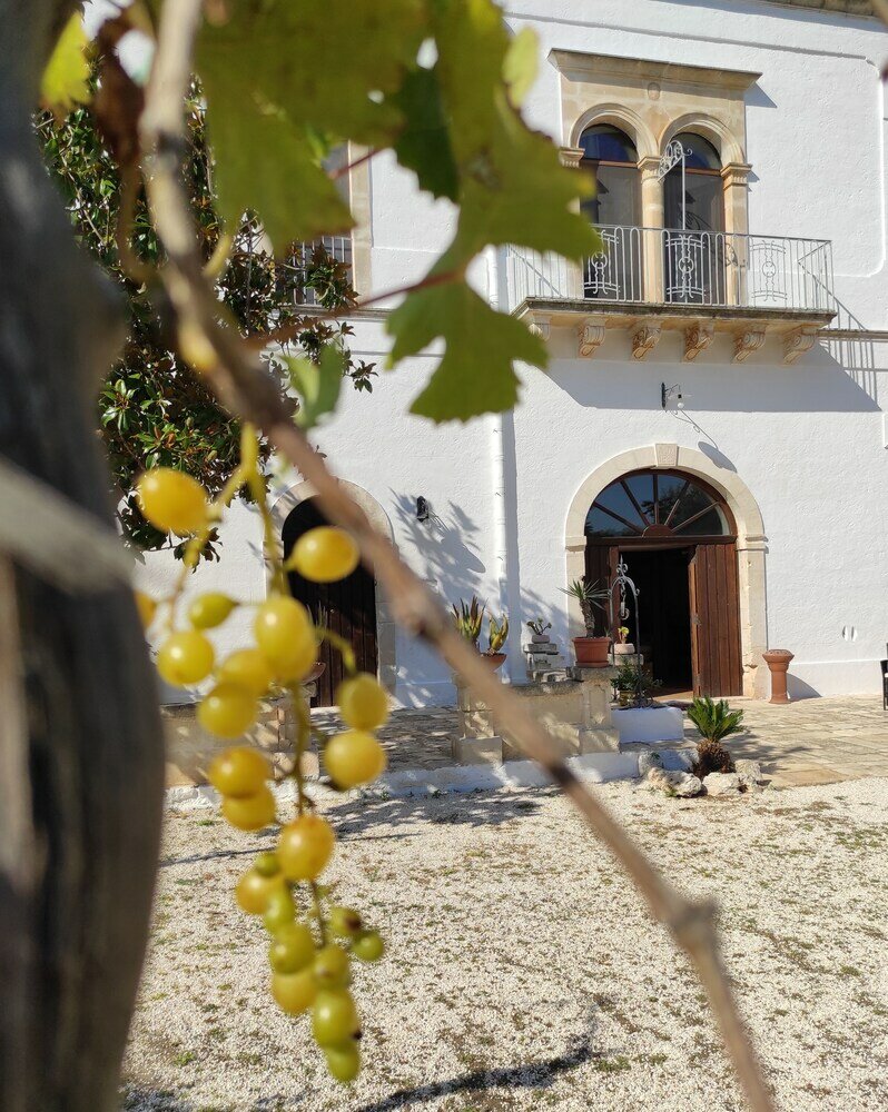 Фото Borgo Santuri