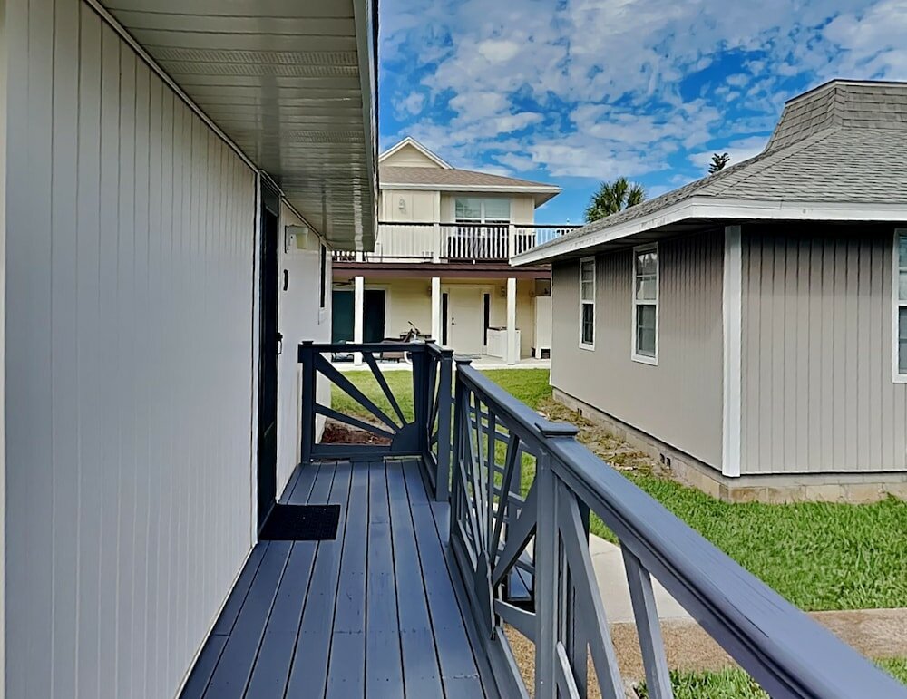 Фото Sea Urchin 39