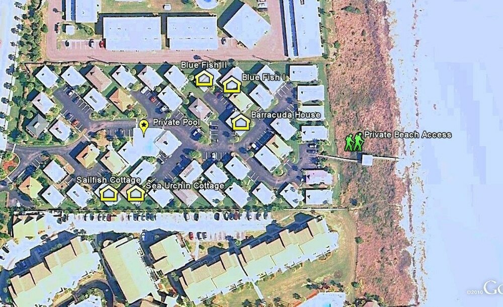 Фото Sea Urchin 39