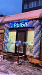 Zolotaya rybka (dachny posyolok Lesnoy Gorodok, Lesnaya ulitsa, 10), pescados y mariscos