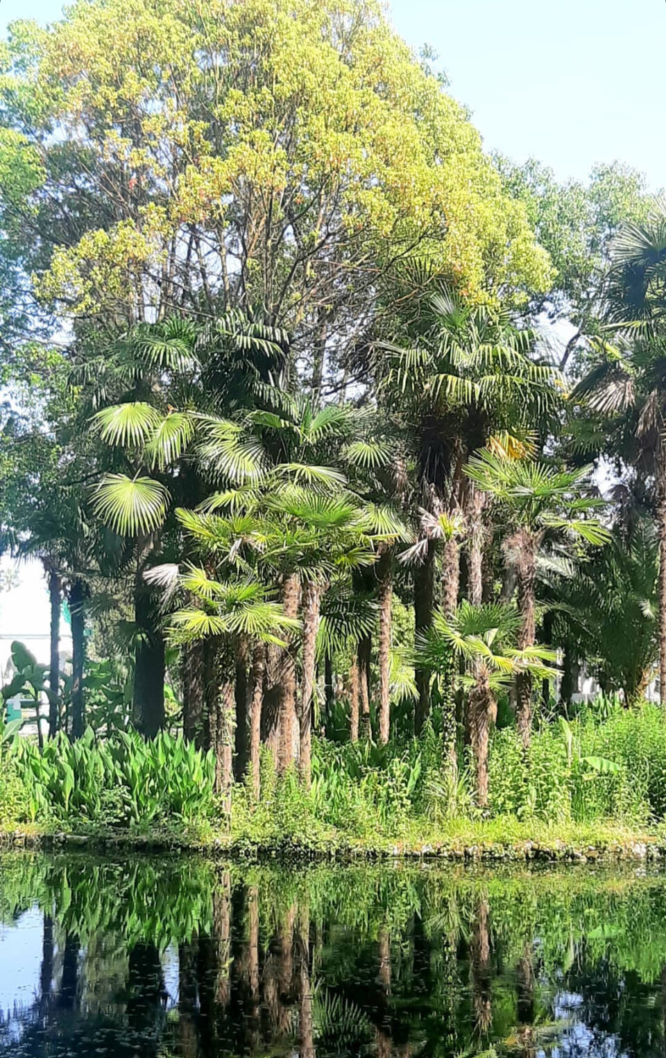 Фото Курортный отель Афон