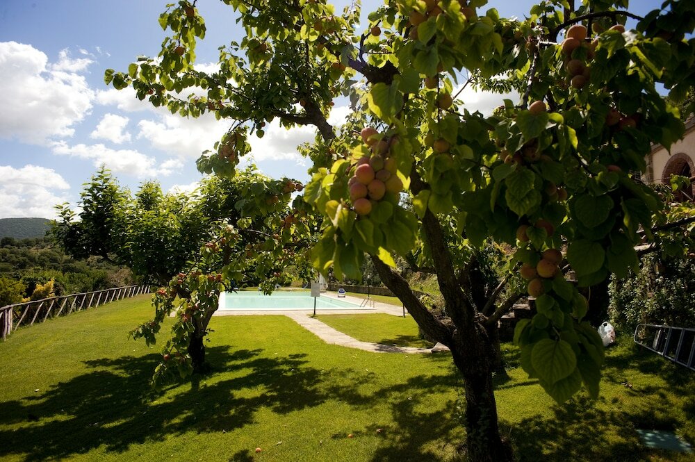 Фото La Cianella