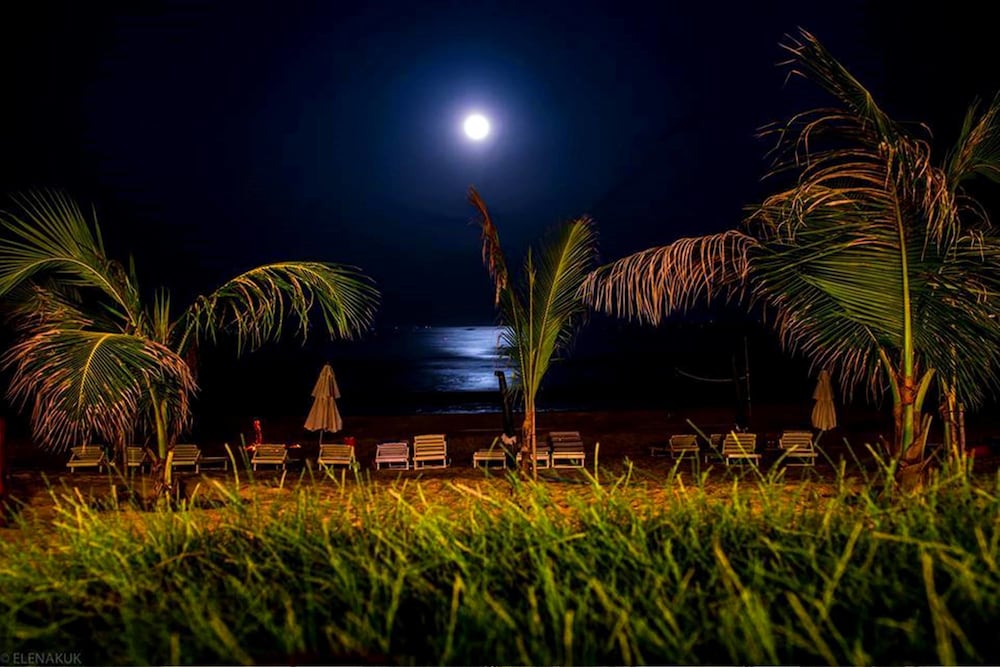 Фото Full Moon Village