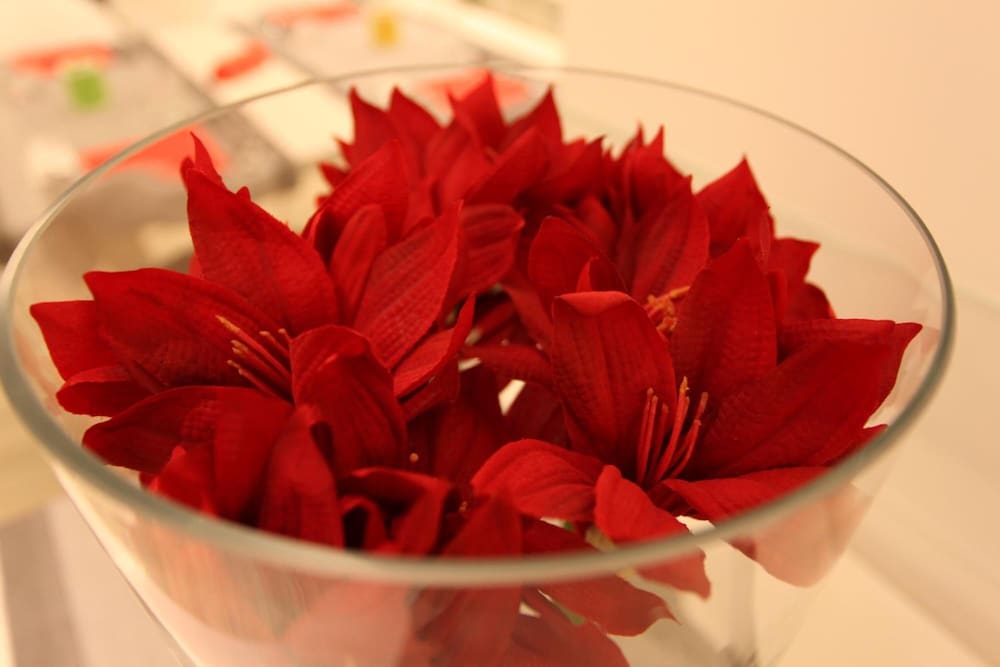 Фото Hotel Fantasy