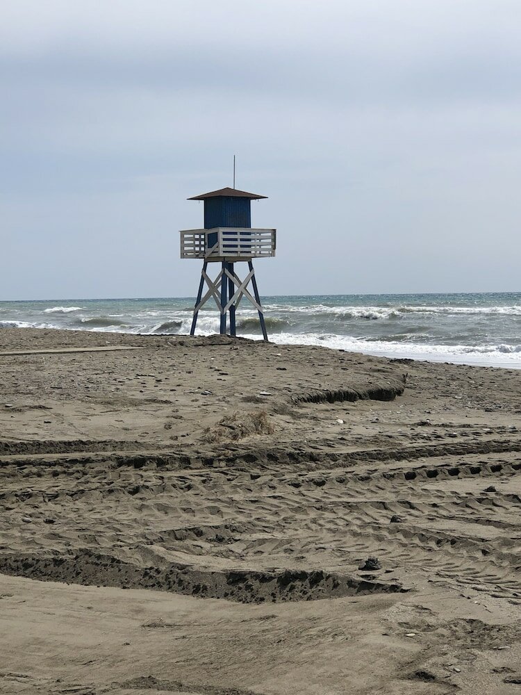 Фото Hostal Moscatel