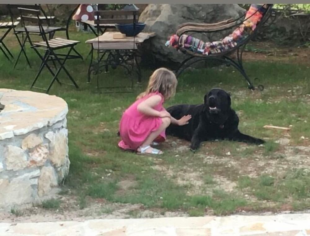 Фото Вилла Alegria