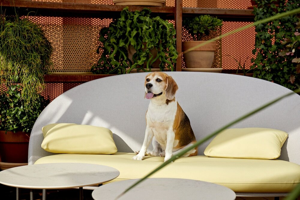 Фото Kimpton Vividora Hotel, an Ihg Hotel