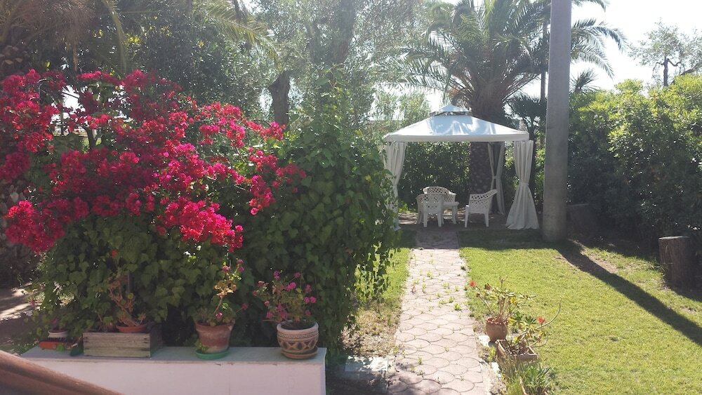 Фото Residence Alba