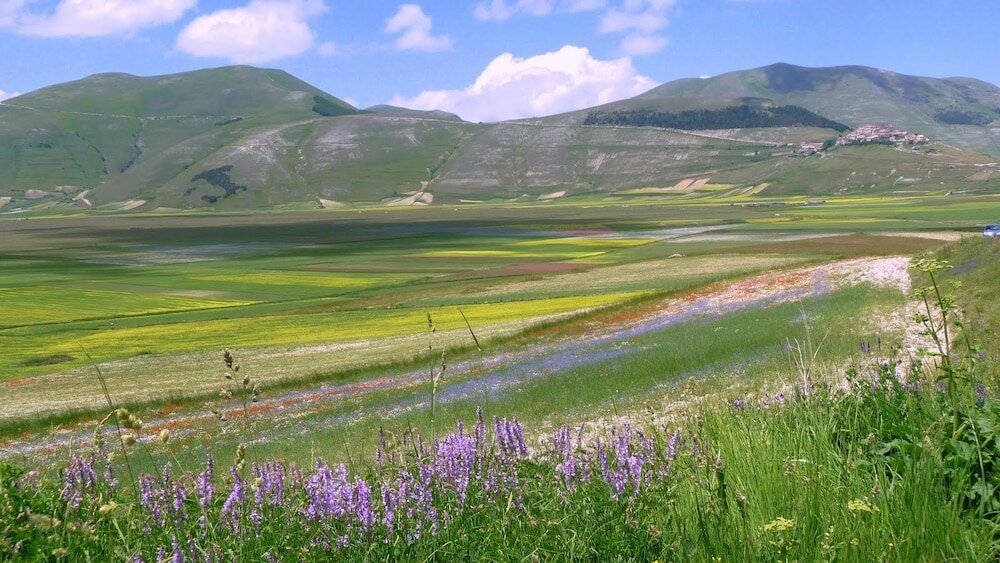 Фото Castrum Resort