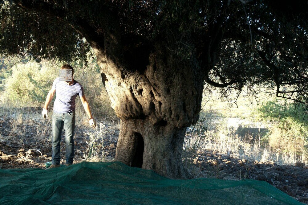 Фото Il Vecchio Frantoio