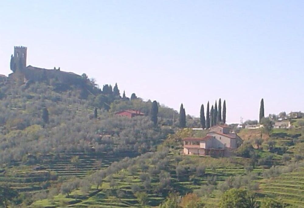 Фото Мини-отель La Piana