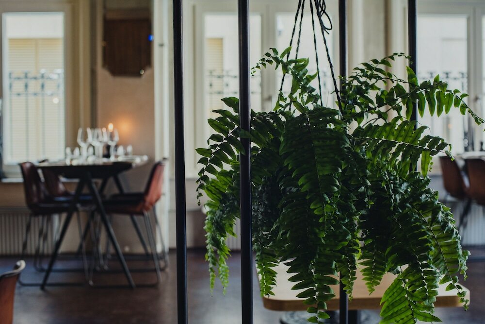 Фото Hotel V Nesplein