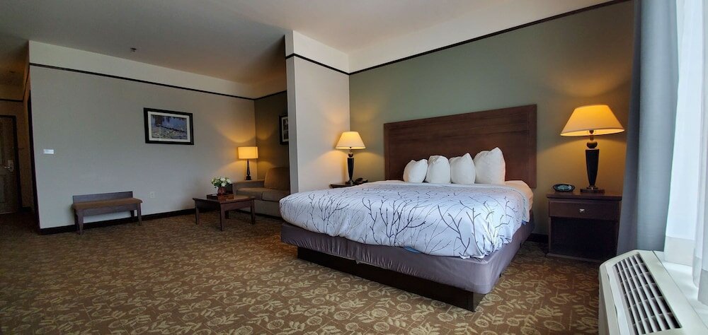 Фото Best Western Plus Emory At Lake Fork Inn & Suites