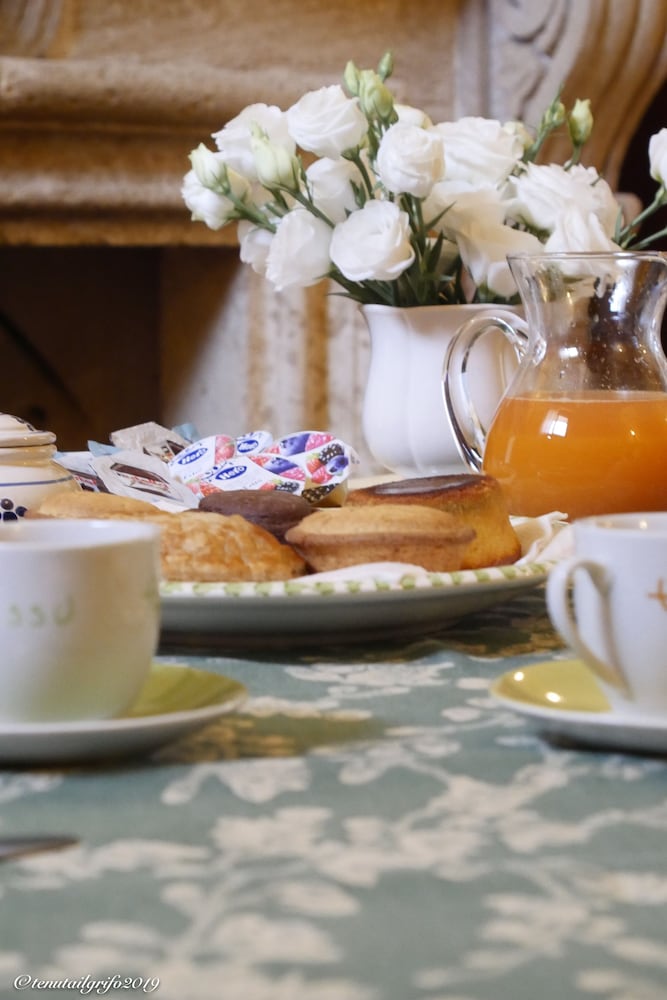 Фото Tenuta il Grifo