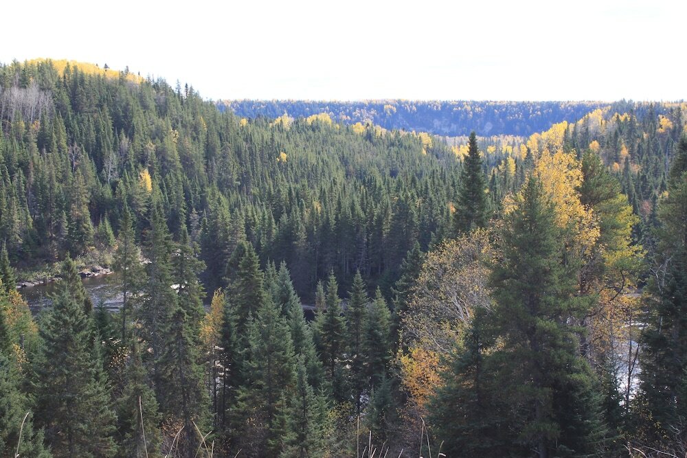 Фото Motel Quatre Saisons