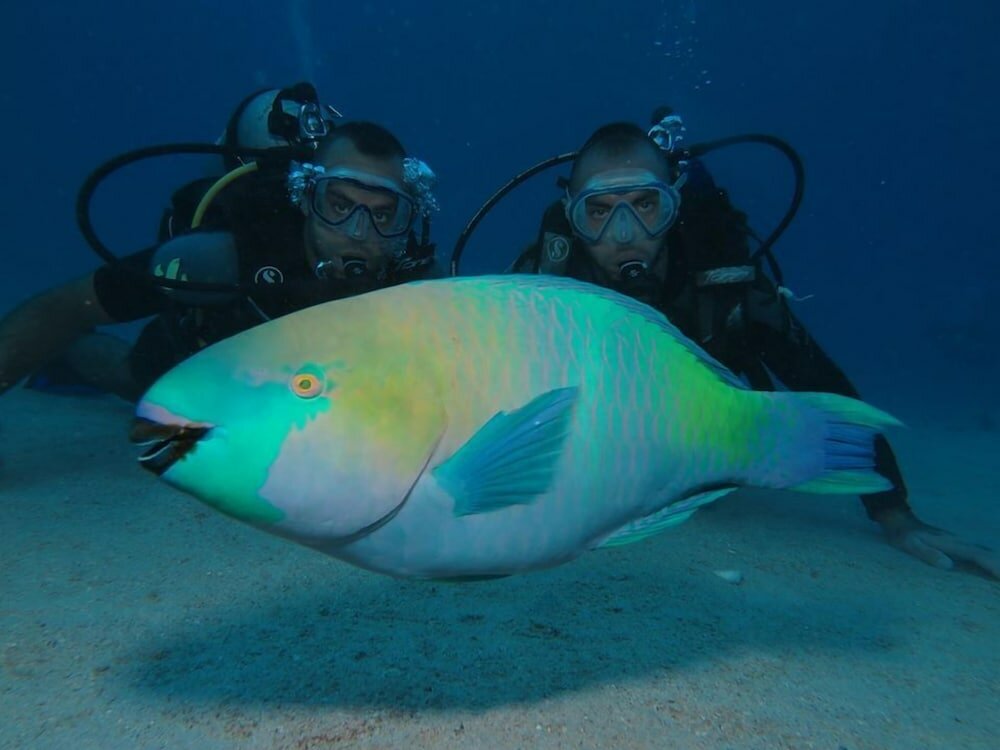 Фото Wishwashi Camp & Resort