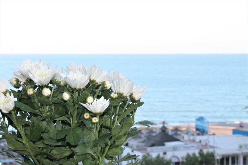 Фото Apartamento Sol del Mar Mediterraneo