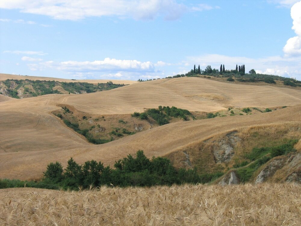 Фото Agriturismo Il Poderino