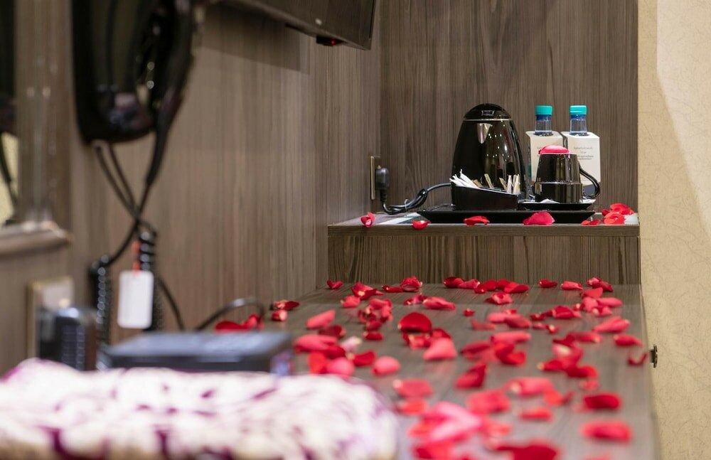 Фото Viola Hotel