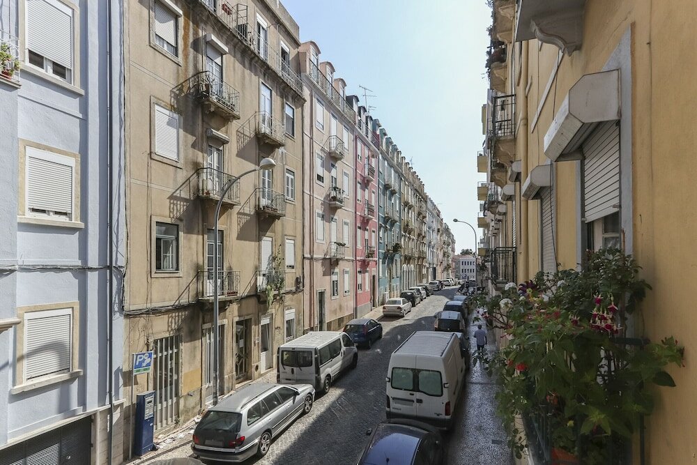 Фото Red Almirante by Homing