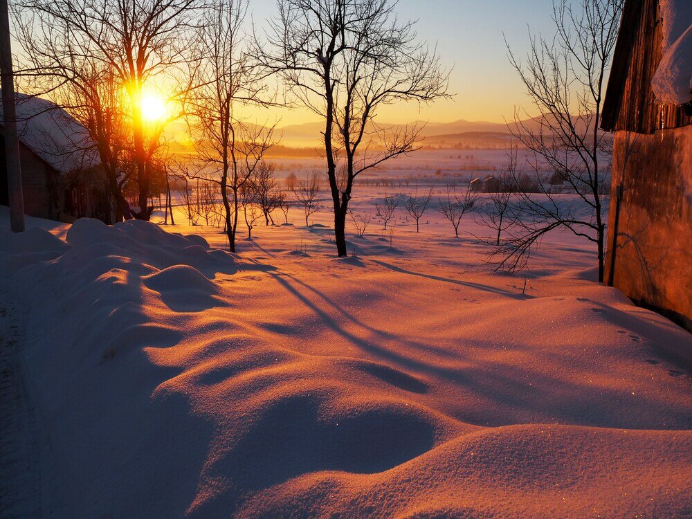 Фото Guest house Sara Latin