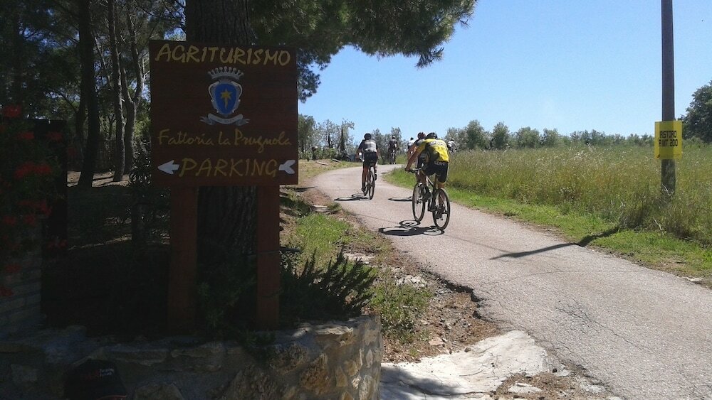 Фото Agriturismo Fattoria La Prugnola