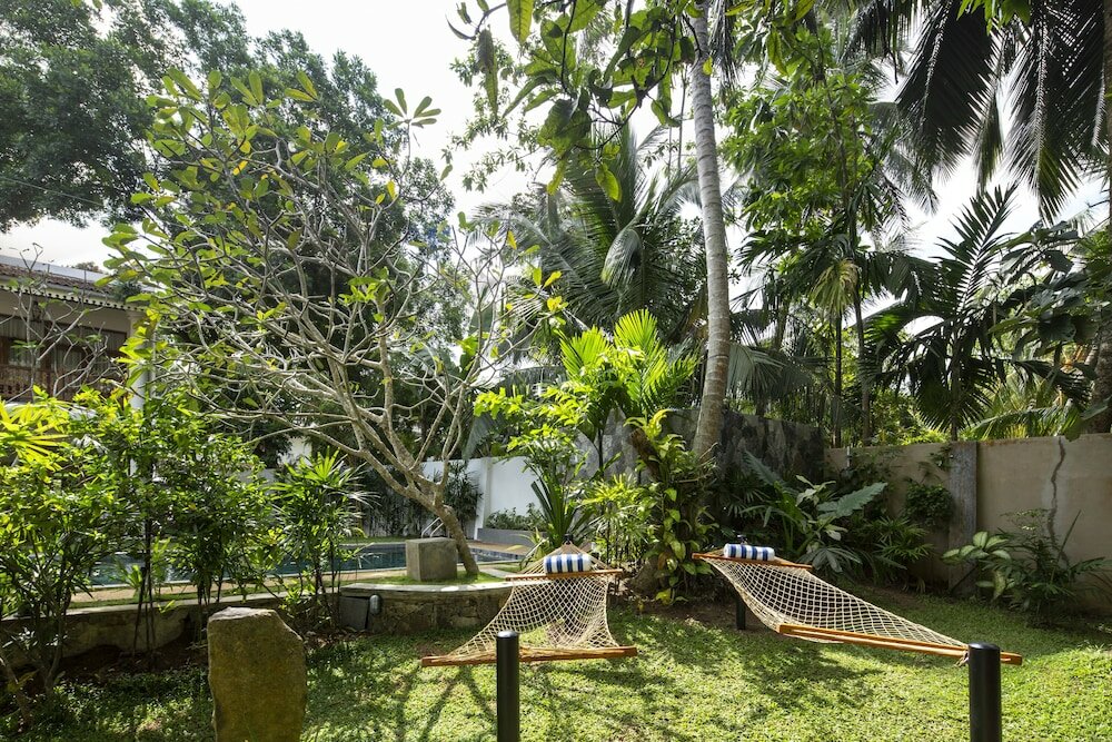 Фото Bilin Tree House