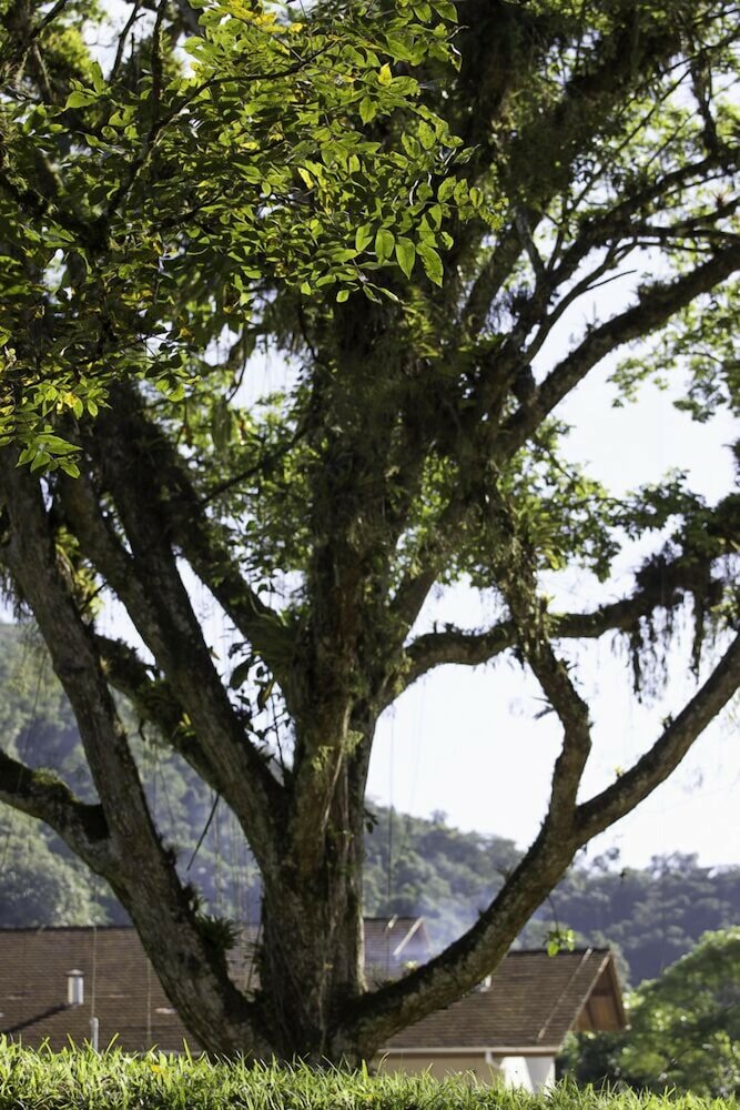 Фото Hotel Fazenda Pommernland