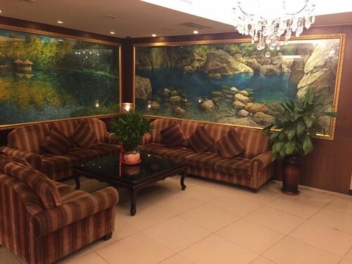 Гостиница Metropolis Hotel