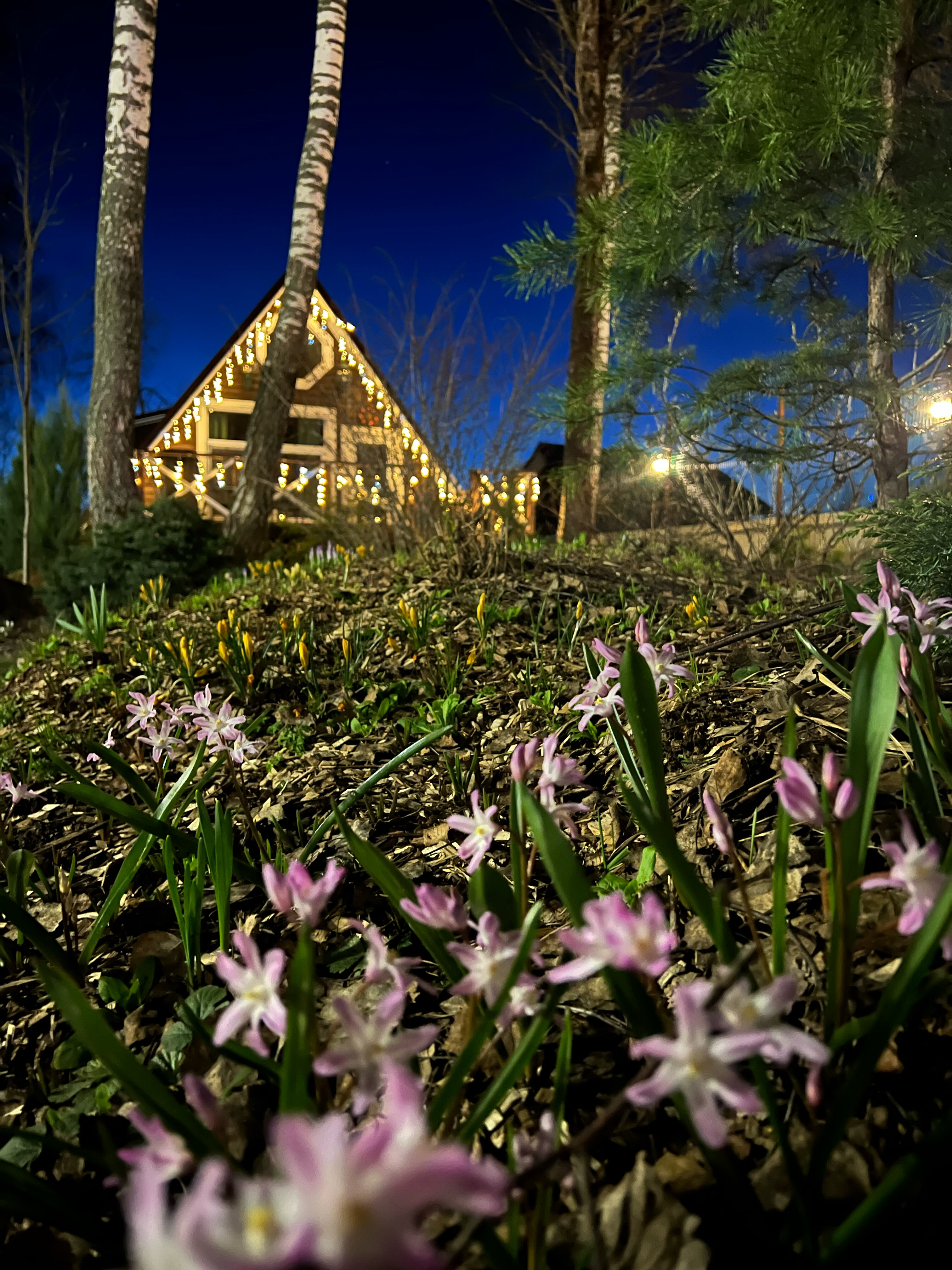 Фото Вечера в Подмосковье