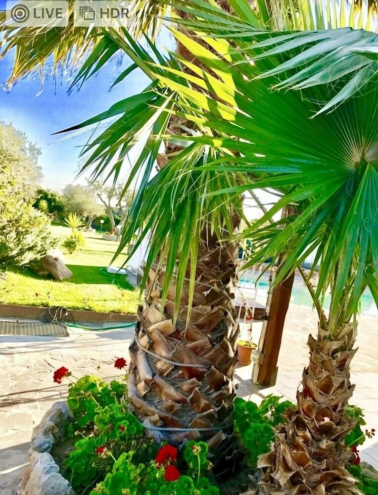 Фото Villa di L'Abbiu House