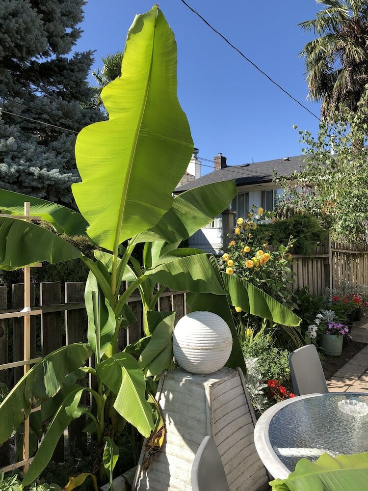 Фото Cozy Bedrooms Guest House