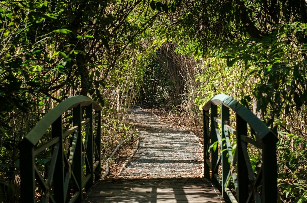 Фото Pousada Cavaleiro dos Pireneus